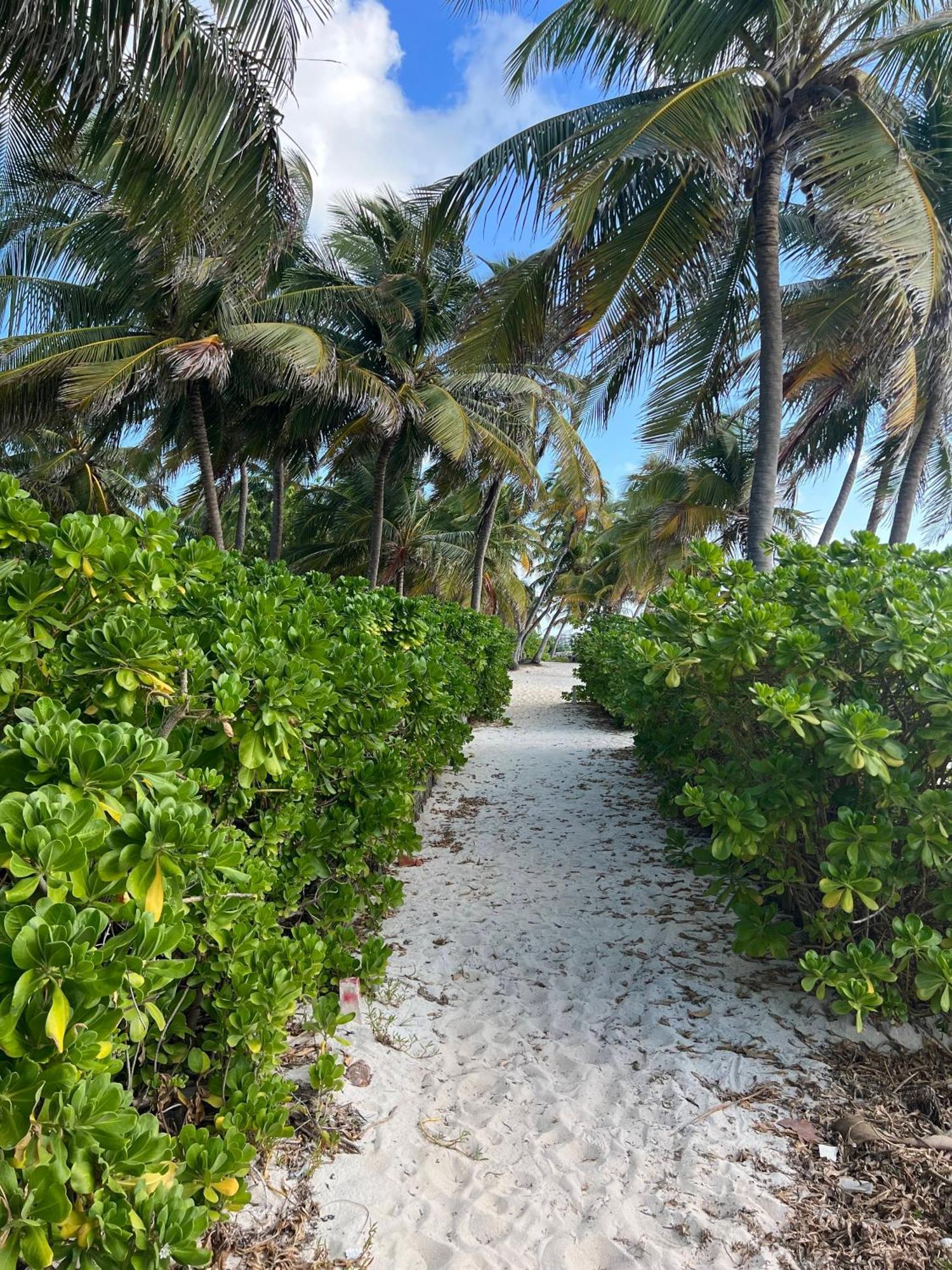 Residences At Barrier Reef 15A Garden View 1 Bedroom By Stay Floreo San Pedro (Ambergris Caye) Exterior foto