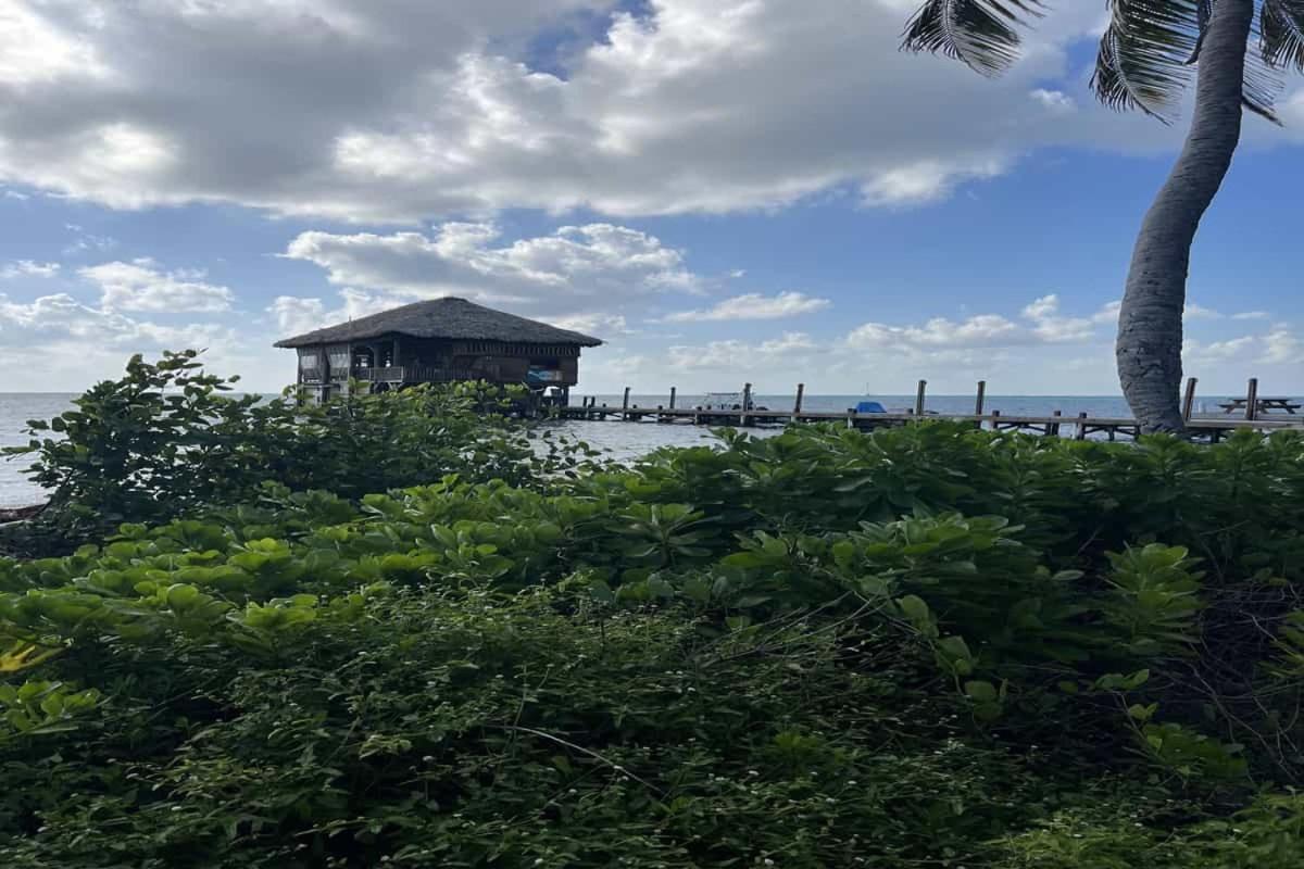 Residences At Barrier Reef 15A Garden View 1 Bedroom By Stay Floreo San Pedro (Ambergris Caye) Exterior foto